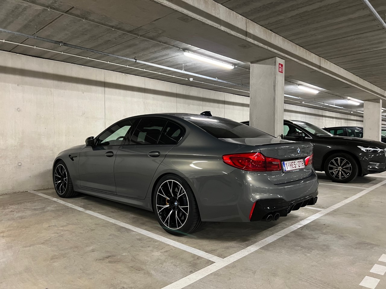 spot202365.jpg