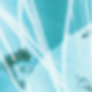 1-21-1