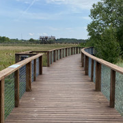 IMG-2556