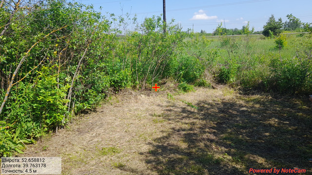 IMG-00094