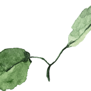 Leaf-22