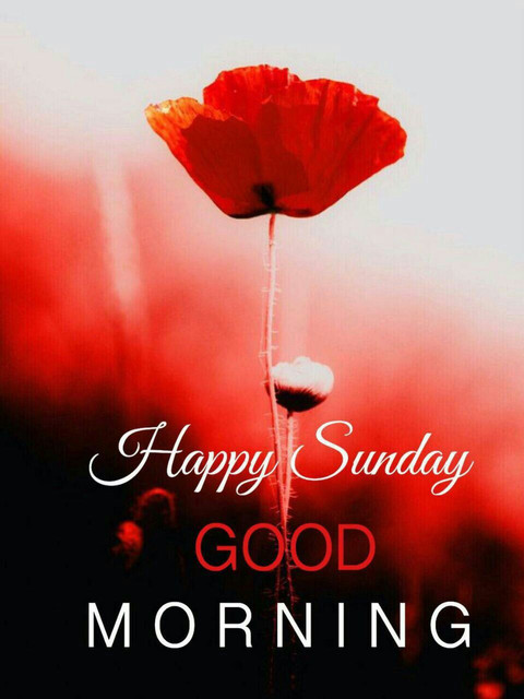 sunday-4