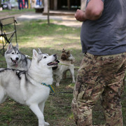 IMG-5997