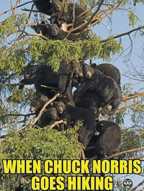 eWqVrwv