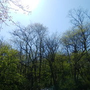 DSC-0167