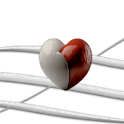 Creation-Tracy-vaillant-1