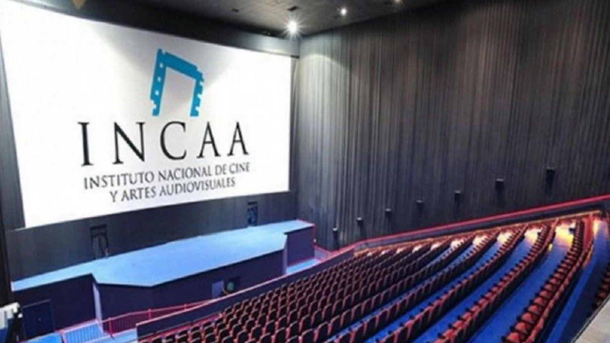 La nueva regulación para el INCAA que se viene