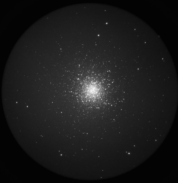 M13.jpg