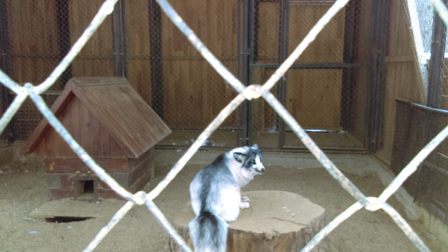 IMAG0566
