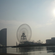 2008-05-24-101