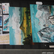 IMG-3528