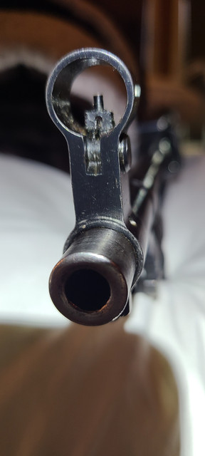 20230903-194203.jpg