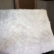 DSC05025