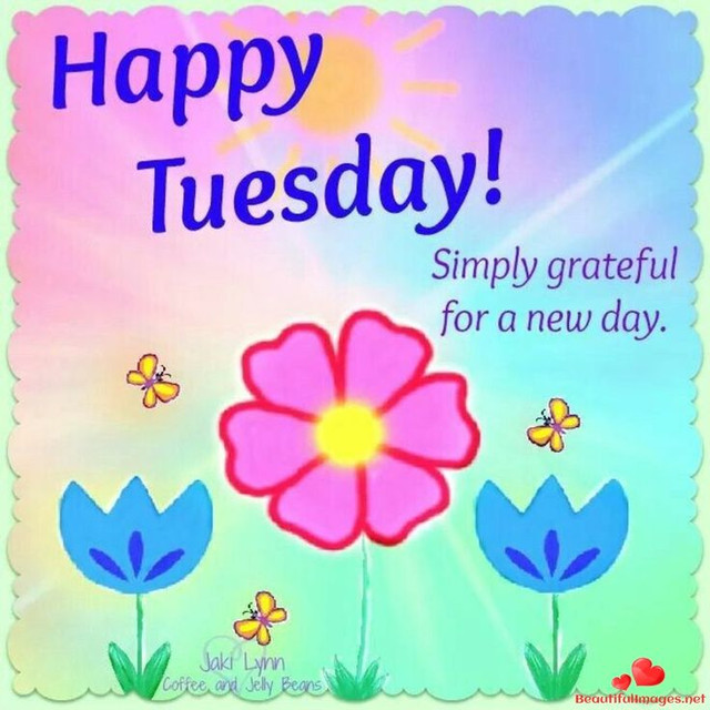 tuesday-3