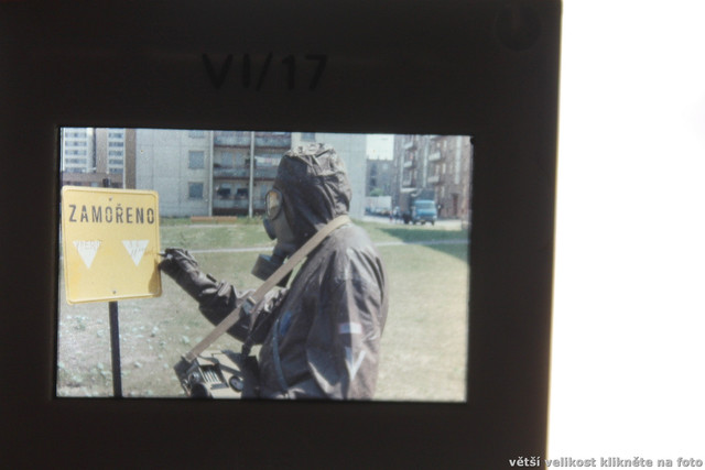 IMG-1133.jpg