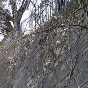 IMG-20221220-155149