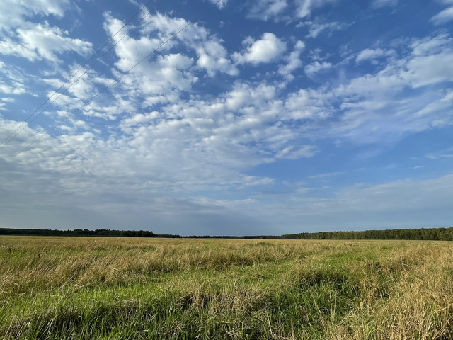 IMG-4127.jpg
