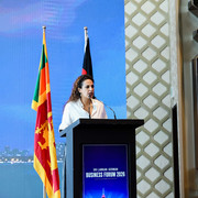 IMG 8812
