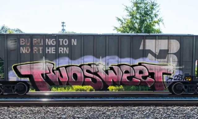 Graffiti artwork by bones