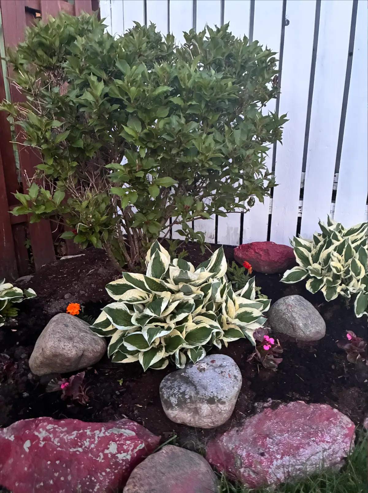 Hanging basket