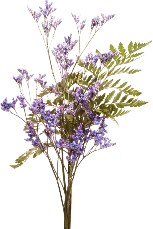 pngegg (65).png