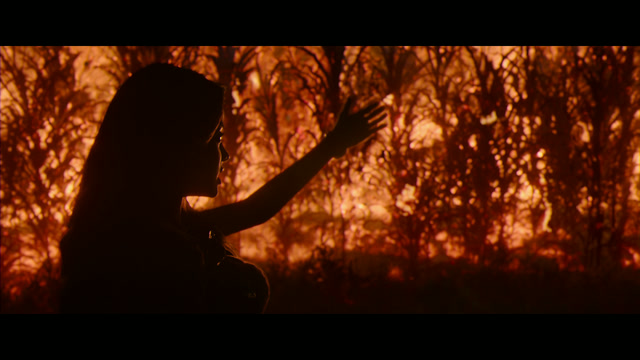 Peddi Screenshot