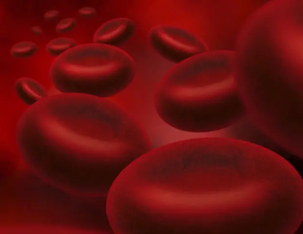 New Virus Therapy Shows Promise Against Resistant Neuroendocrine Tumors