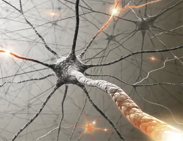 Nerve Signals Block Cancer Immunotherapy