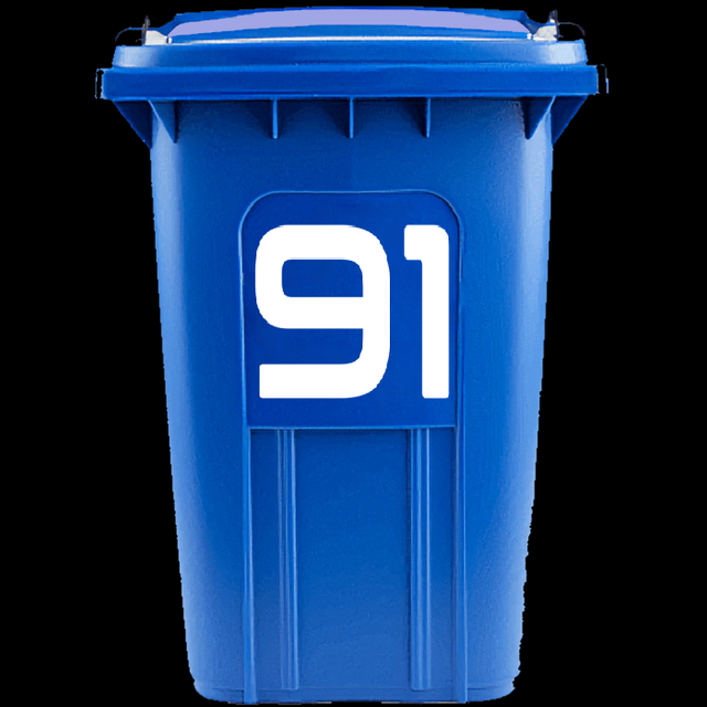 91bin.png