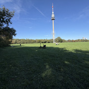 IMG-0628