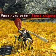 meat on stick