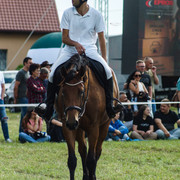 DSC05411