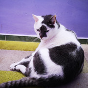 IMG-20220402-133044