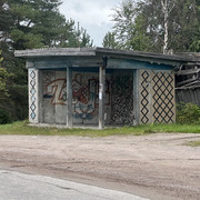 IMG 4687