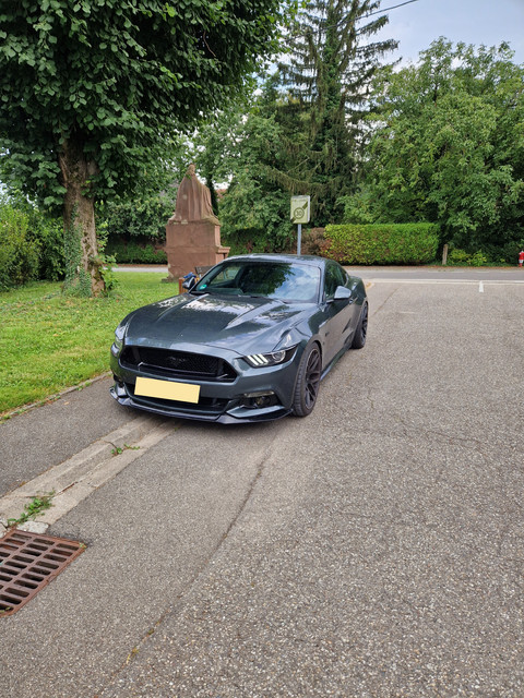 Mustang