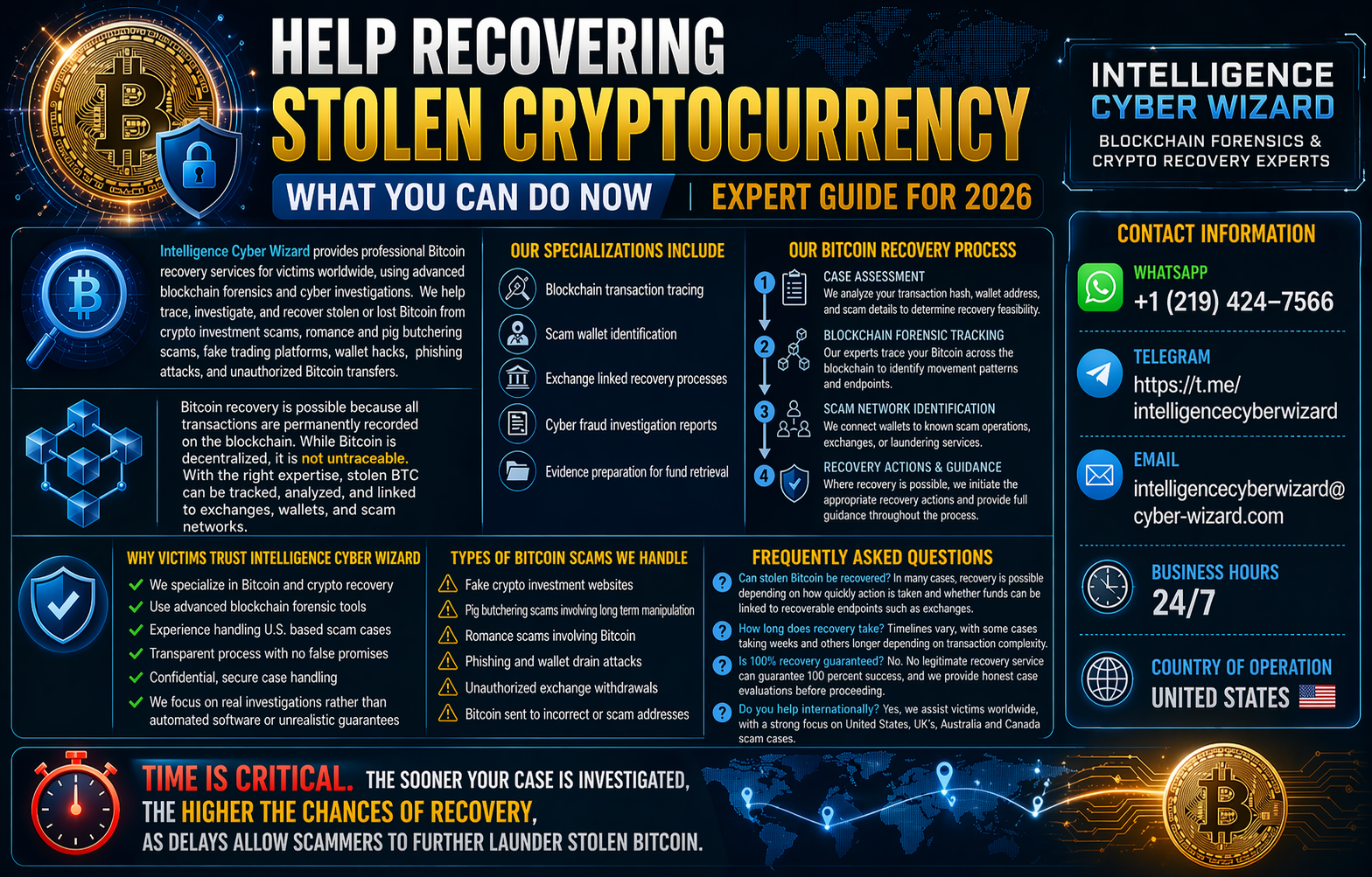Intelligence Cyber Wizard Recovery 1 1.png