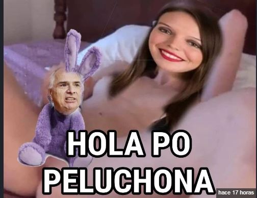 peluc.jpg