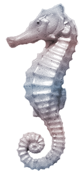 Element64.png