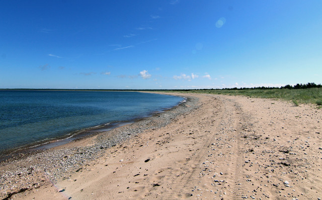 IMG-1502
