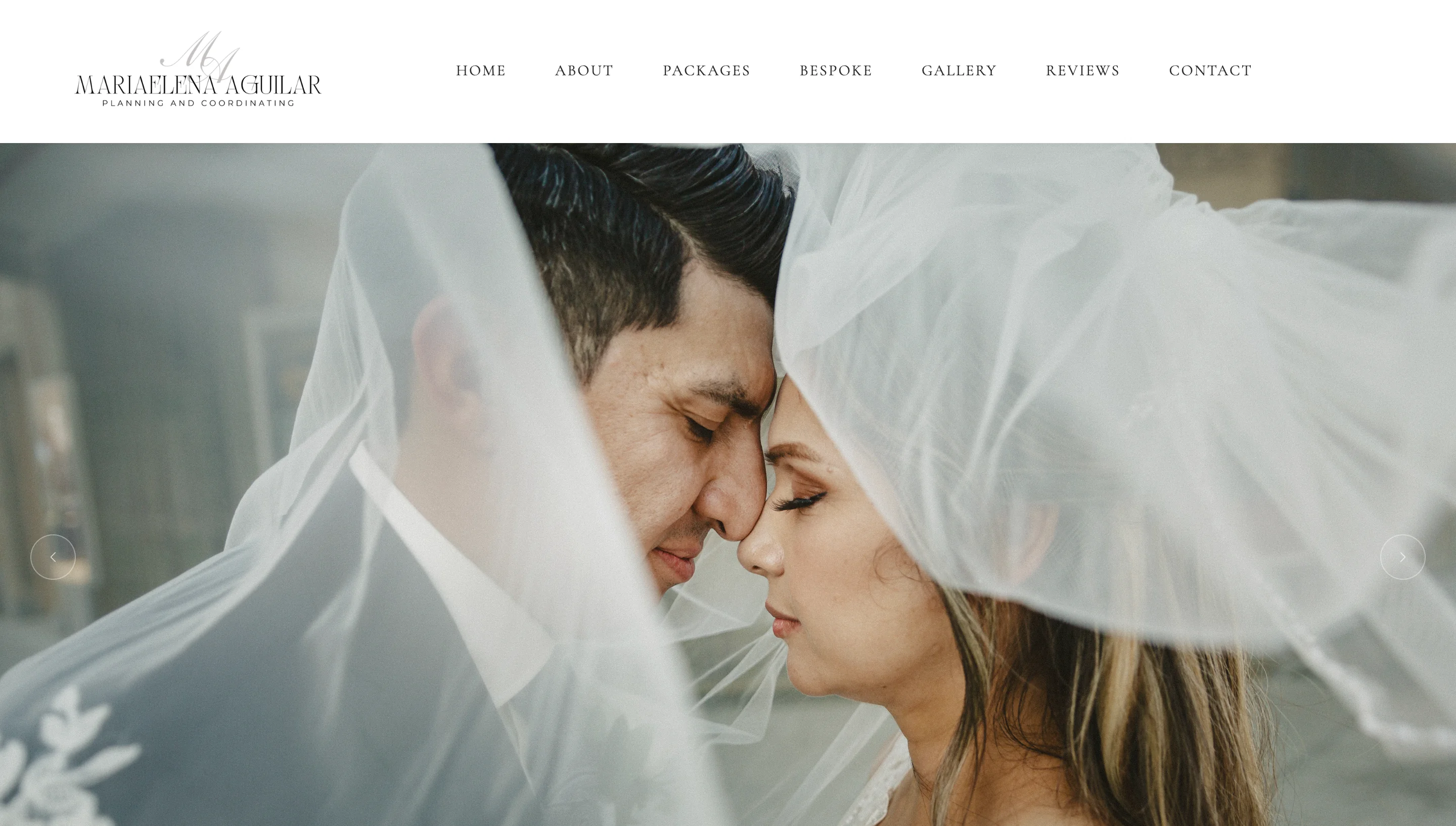 Maria Elena website preview