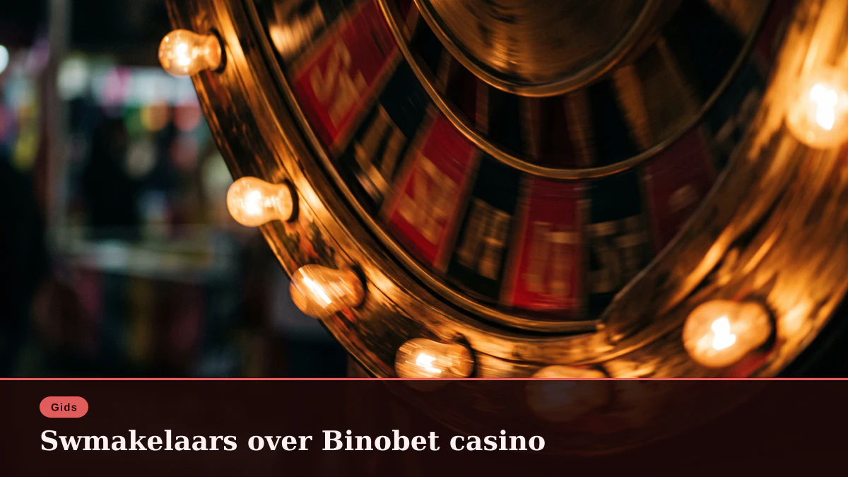 Swmakelaars over Binobet casino