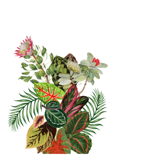 f765be59ab7c8d6a4e1c1e19edb20e36.png