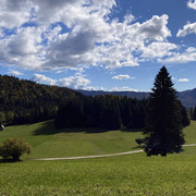 IMG-3386