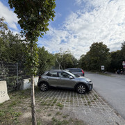 IMG-1229