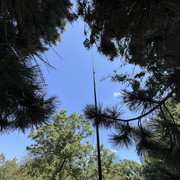 IMG-0165