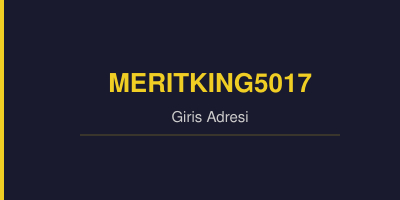 Meritking5017