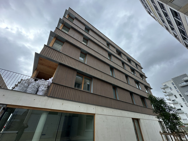 IMG-5241