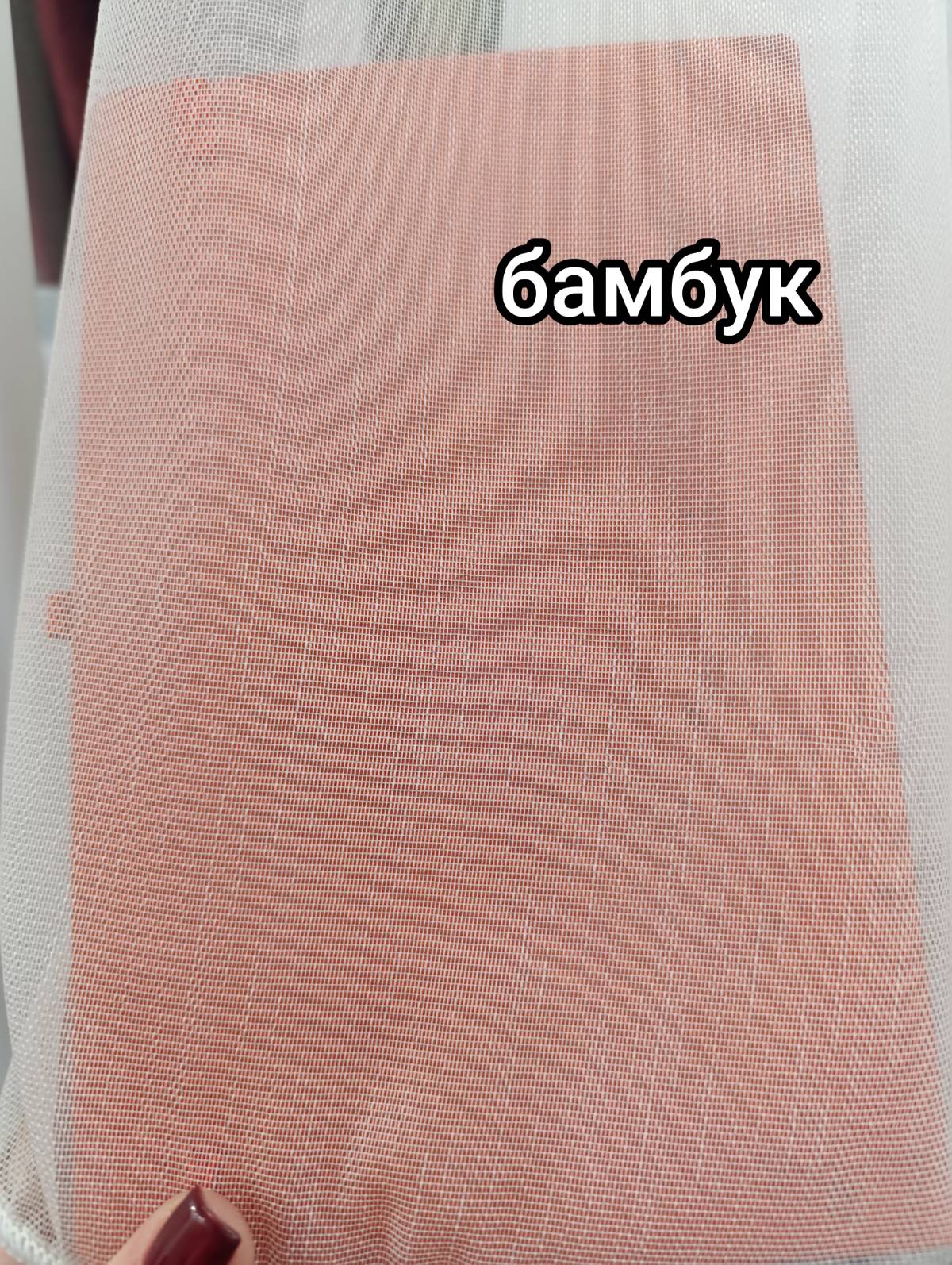 Бамбук