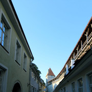 IMG-1308