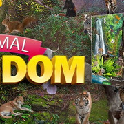 Animalkingdom